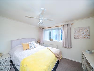 Picture 13
